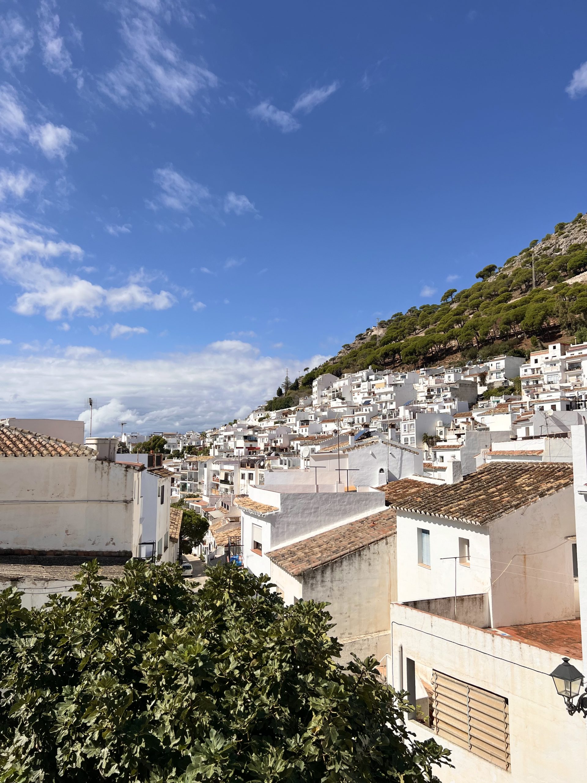 beautiful pueblo blanco in mijas spain